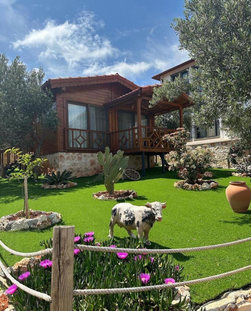Doganin Ruhu Hotel & Bungalow 카스 외부 사진