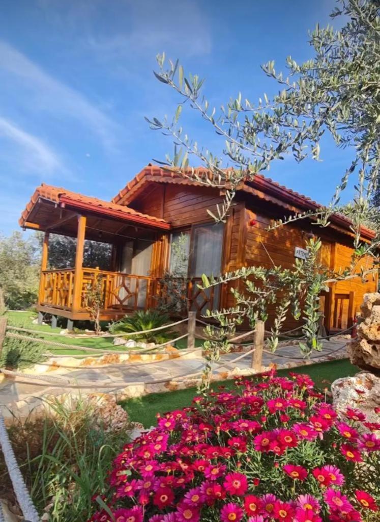 Doganin Ruhu Hotel & Bungalow 카스 외부 사진
