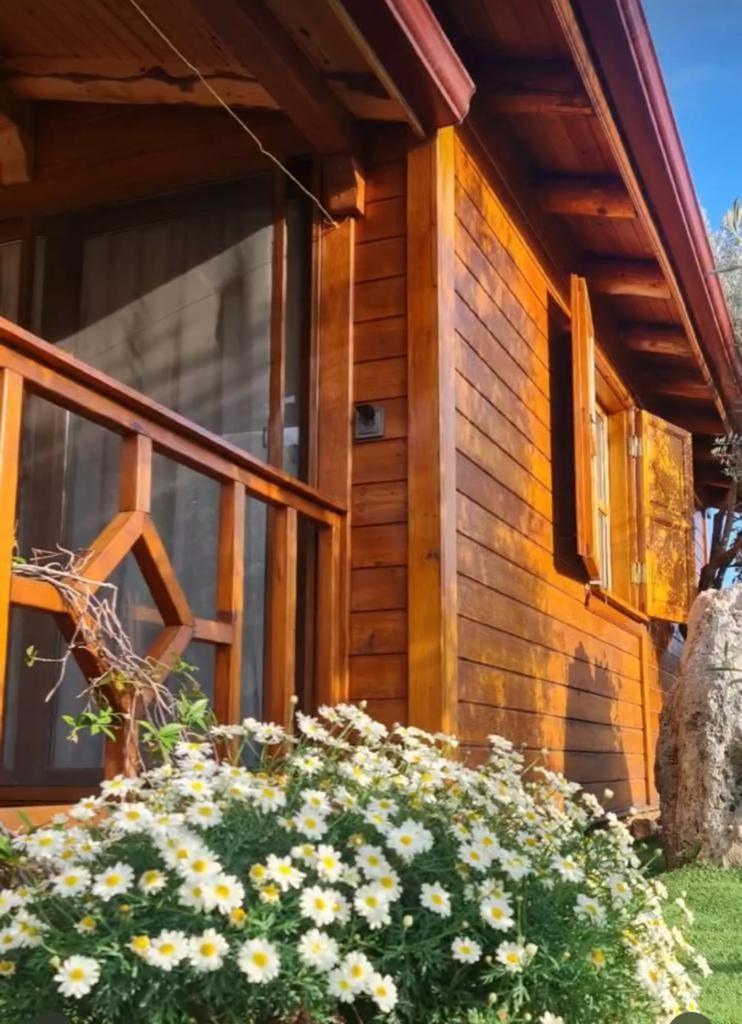 Doganin Ruhu Hotel & Bungalow 카스 외부 사진